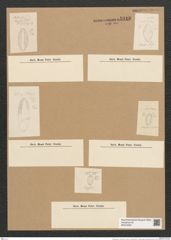 Rhaphoneis sp. (de-Toni-Nr.: Genus 78, Species 2881 ?) Zeichnungen Sammlung Grunow Nr. 5810 (NHMW-BOT-W0374225)